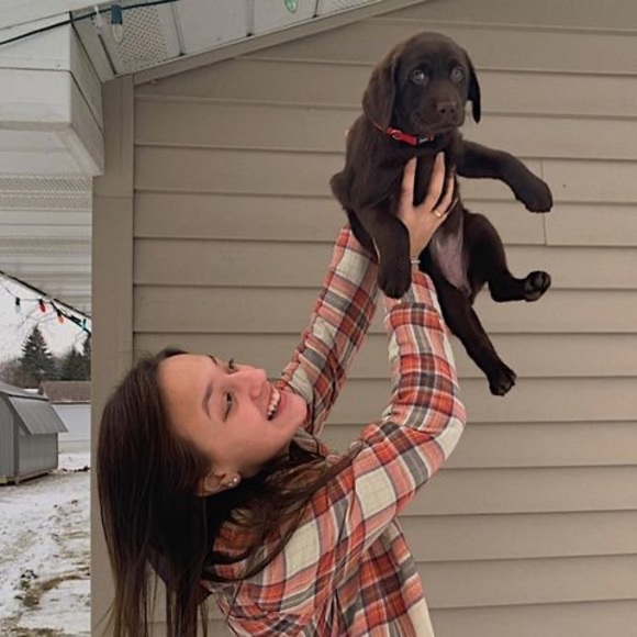 Meet your Posher, Ryan - Picture 1 of 1